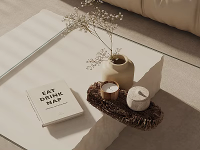 Modern Decorative Ornaments Set With Vase Dried Flowers Candles And Book On Coffee Table 3d model