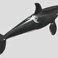 Realistic Black And White Orca Marine Animal Toy Model Figure