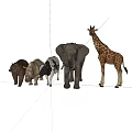 Collection of Wild and Farm Animals Including Elephant Giraffe Cow and Bear