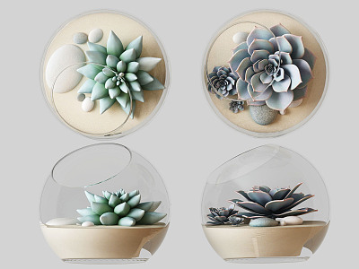 Modern succulent plant ornament model