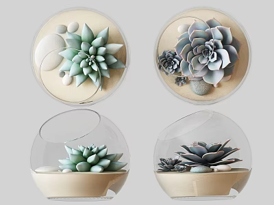 Elegant Succulent Plants in Glass Globe Containers with Decorative Stones 3d model