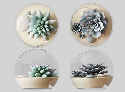 Modern succulent plant ornament 3d model