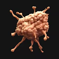 Detailed 3D Virus Structure Model With Spikes For Scientific Visualization