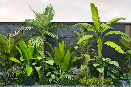 Plant Flower Bird of Paradise Plantain Palm Green Plant Combination 3d model