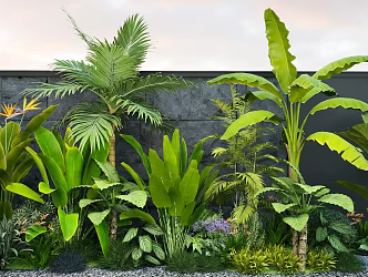Plant Flower Bird of Paradise Plantain Palm Green Plant Combination 3d model