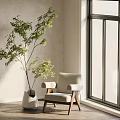 Modern Leisure Chair with Natural Light and Green Plant by Large Window