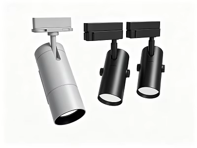 Modern Track Mounted Downlights and Spotlights in Silver and Black for Home Lighting 3d model