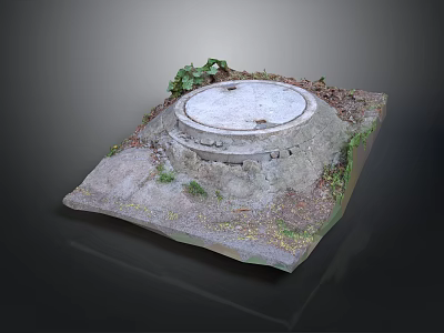 Detailed Realistic Manhole Cover Model With Grass Dirt And Small Plants 3d model