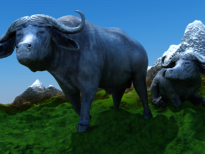 Modern cattle buffalo model