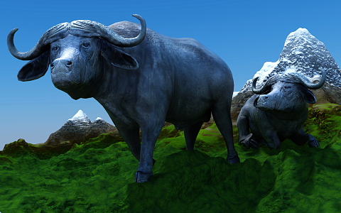 Modern cattle buffalo 3d model