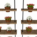 Charming Garden Decor Featuring Multi Tiered Shelves And Colorful Potted Plants