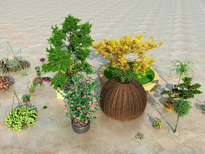 Colorful Bonsai and Potted Plants With Wicker Pots and Assorted Greenery 3d model