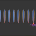 Aquatic Animals With Slender Blue Pink Stripes Arranged In Row And Radial Structure Dark Background