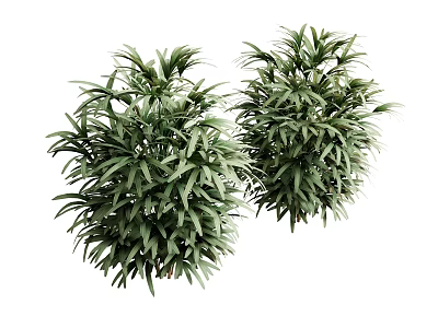 Indoor Green Bonsai Potted Plants With Lush Foliage For Home Decor 3d model