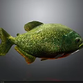 Green And Gold Glittery Fish With Red Underbelly Isolated On Gray Background