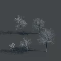 Group of Leafless Trees With Extended Branches And Shadows On Gray Background 3d model