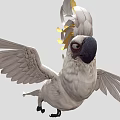 Game Animated White Parrot Character With Spread Wings And Yellow Head Feathers