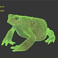 Detailed View of Brown Spotted Toad on Gray Background with Shiny Surface