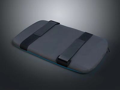 Gray Storage Case With Black Straps And Blue Accent Edge Design 3d model