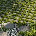 Lush Green Grass Landscape With Arranged Circular Stones Path Large Rocks And Small Pebbles