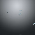 School of Fish Swimming Gracefully in Gray Background with Smooth Motion