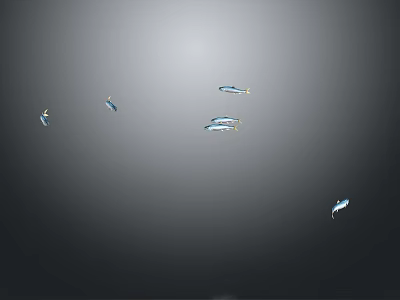 School of Fish Swimming Gracefully in Gray Background with Smooth Motion 3d model