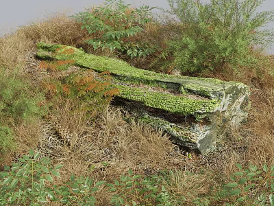 Flowers and Plants Surrounding Green Moss Covered Stone with Dry Grass and Green Leaves 3d model
