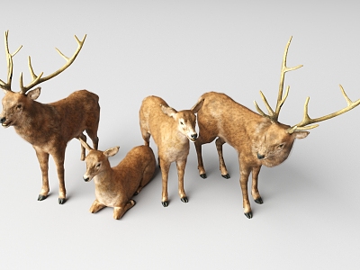 Deer 3d model