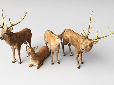 Realistic Deer Sculptures Group In Different Poses 3d model Realistic Deer Sculptures Group In Different Poses 3d model