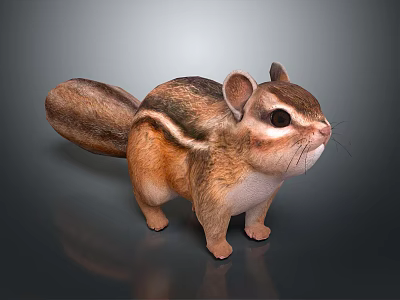 modern guinea pig 3d model modern guinea pig 3d model