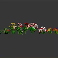 Colorful Assortment of Flowers and Green Plants with Red Yellow Pink and White Blooms