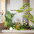 Indoor Plant Arrangement With Variety of Green Plants and Decorative Elements