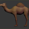 Realistic Dromedary Camel 3D Model With Orange Brown Fur And Furry Hump Detailed Rendering