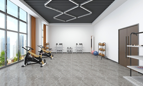 Modern Gym Equipment Room 3d model