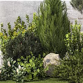 Garden Ornament Landscaping With Various Green Plants Trees Stones And Decorative Foliage