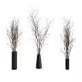 Three Black Vases With Small Twigs And Decorative Plants