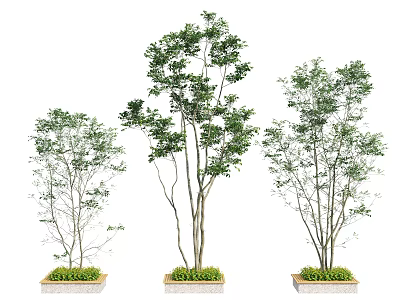 Outdoor Tree Planters With Green Trees And Decorative Stone Bases 3d model