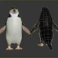Two Penguins Front And Back Views With Black And White Feathers Against Gray Background 3d model