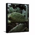 Hand Drawn Cactus Plant Painting With Engraved LOVE Lettering Artwork