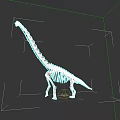 Detailed Reptile Skeleton With Long Neck Standing On Dark Background 3d model