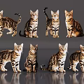 Eight Tiger Stripe Pattern Reptiles in Various Poses Against Gray Backdrop 3d model