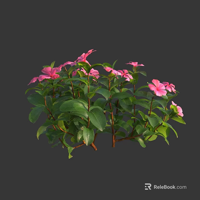Vibrant Pink Flowers With Green Leaves On Lush Garden Plants 3d model 
