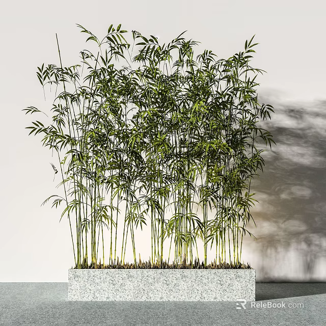 Lush Green Bamboo Bonsai Plant In Square Gray Potted Planter For Indoor Decor 3d model 