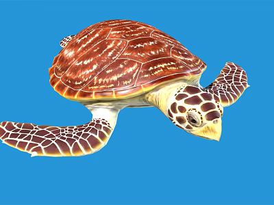 Swimming Brown Patterned Sea Turtle With White Flippers On Blue Background 3d model