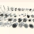 Diverse Collection of Colorful Flowers and Green Grasses with Various Shapes and Vibrant Blooms