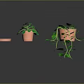 Pothos Plants in Terracotta Pots with Long Green Vines and Lush Leaves
