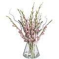 White Gladiolus Flowers Arrangement in Clear Glass Vase with Fresh Green Leaves