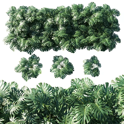 Lush Green Plant Wall with Various Tropical Leaves for Indoor Home Decoration 3d model