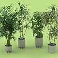Different Types of Indoor Decorative Potted Plants with Various Foliage in Gray Pots