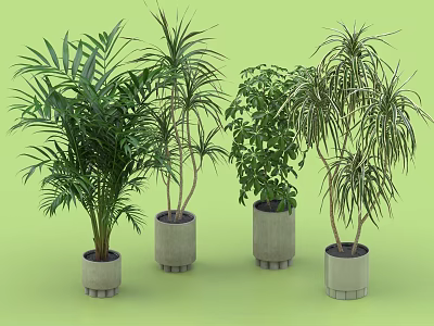 Different Types of Indoor Decorative Potted Plants with Various Foliage in Gray Pots 3d model